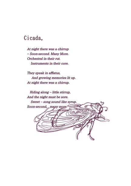 cicada