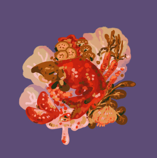 salmon